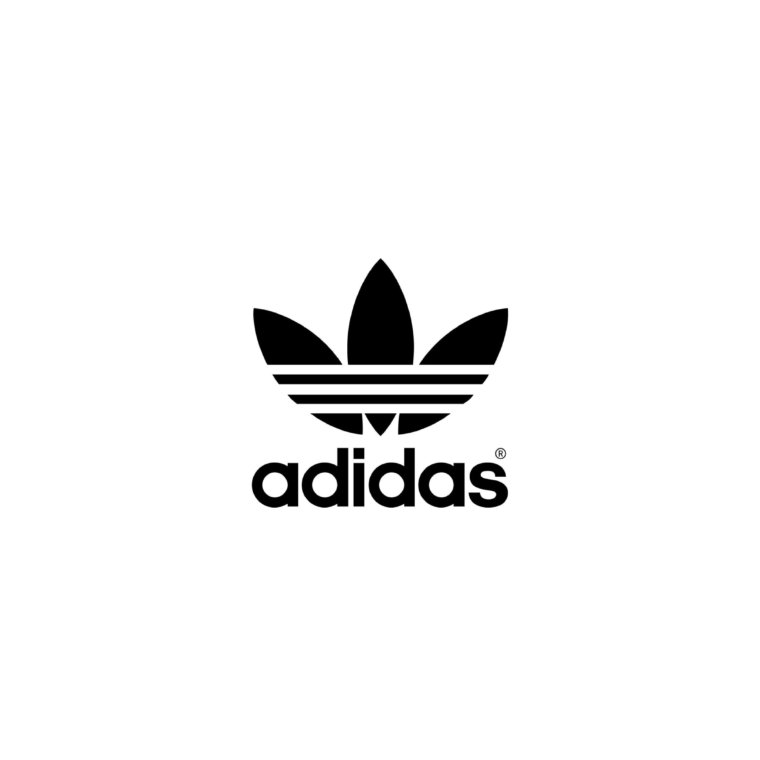 WhatsApp Image 2025-03-08 at 04.40.58